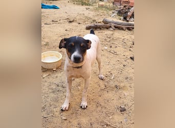 Redford - offen, sozial und lernwillig