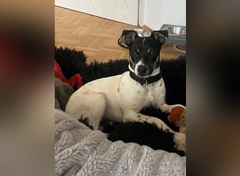 Redford - offen, sozial und lernwillig