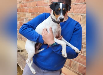 Maite - freundlich und liebenswert