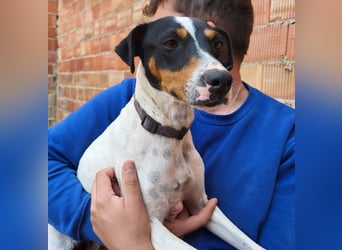 Maite - freundlich und liebenswert