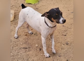 Redford - offen, sozial und lernwillig