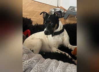 Redford - offen, sozial und lernwillig