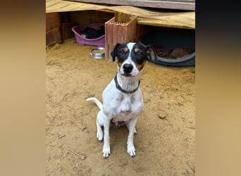 Maite - freundlich und liebenswert