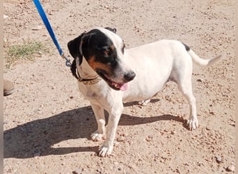 Monet - gesellig, sozial und verspielt