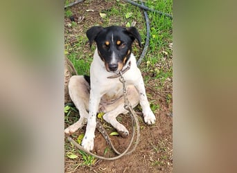 BRISA ❤️ kleine Frohnatur, Pflegefamilie Immenhausen