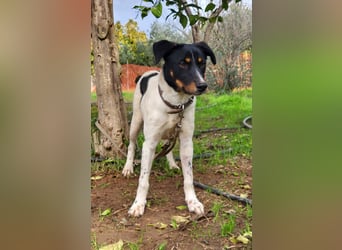 BRISA ❤️ kleine Frohnatur, Pflegefamilie Immenhausen