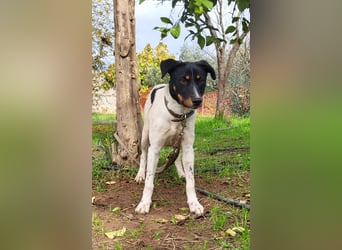 BRISA ❤️ kleine Frohnatur, Pflegefamilie Immenhausen