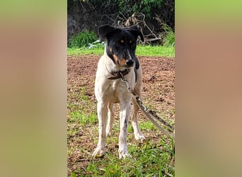 BRISA ❤️ kleine Frohnatur, Pflegefamilie Immenhausen