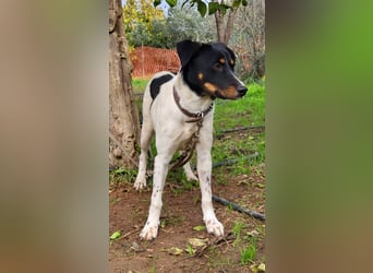 BRISA ❤️ kleine Frohnatur, Pflegefamilie Immenhausen