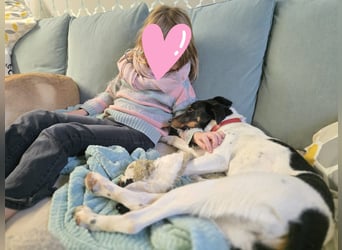 BRISA ❤️ kleine Frohnatur, Pflegefamilie Immenhausen