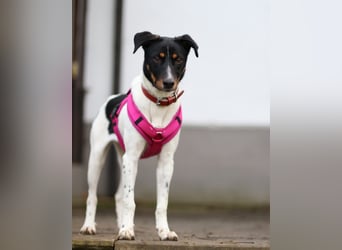 BRISA ❤️ kleine Frohnatur, Pflegefamilie Immenhausen