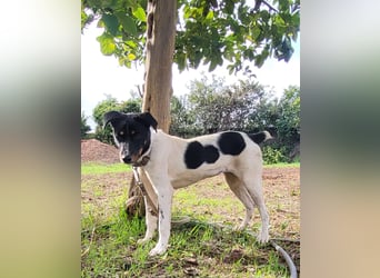 BRISA ❤️ kleine Frohnatur, Pflegefamilie Immenhausen