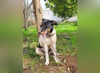 BRISA ❤️ kleine Frohnatur, Pflegefamilie Immenhausen