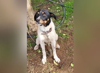 BRISA ❤️ kleine Frohnatur, Pflegefamilie Immenhausen