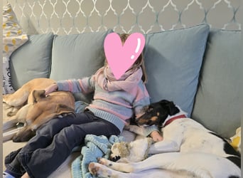 BRISA ❤️ kleine Frohnatur, Pflegefamilie Immenhausen