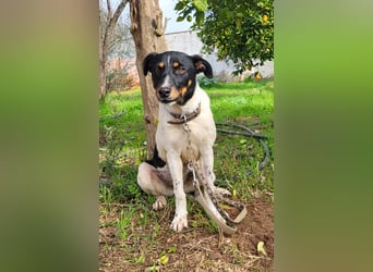 BRISA ❤️ kleine Frohnatur, Pflegefamilie Immenhausen