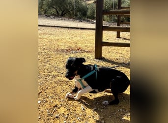 Lucrecia, hofft auf ein Weihnachtswunder