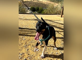 Lucrecia, hofft auf ein Weihnachtswunder