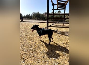 Lucrecia, hofft auf ein Weihnachtswunder