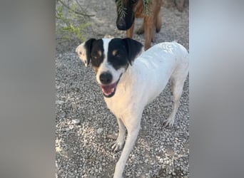 Pepa, freundlich und sozial