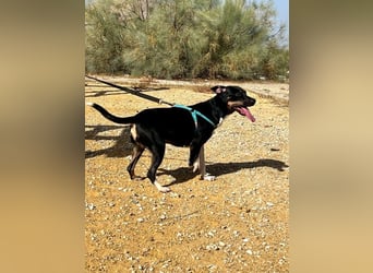 Lucrecia, hofft auf ein Weihnachtswunder