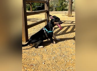 Lucrecia, hofft auf ein Weihnachtswunder