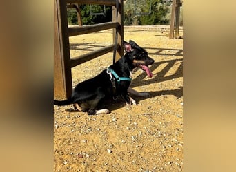 Lucrecia, hofft auf ein Weihnachtswunder