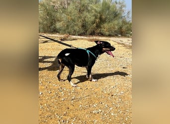 Lucrecia, hofft auf ein Weihnachtswunder