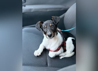 Nena, bringt gute Laune nach Hause