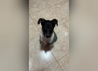 Nena, bringt gute Laune nach Hause