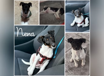 Nena, bringt gute Laune nach Hause