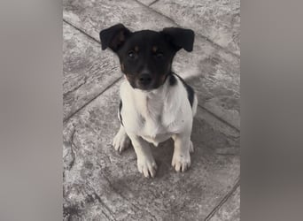 Nena, bringt gute Laune nach Hause