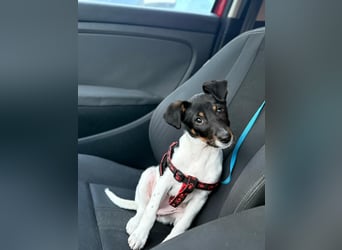 Nena, bringt gute Laune nach Hause