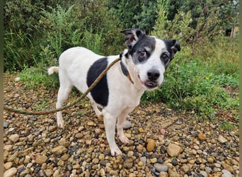 Seniorin FIORELLA - NOTFALL