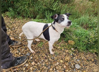 Seniorin FIORELLA - NOTFALL