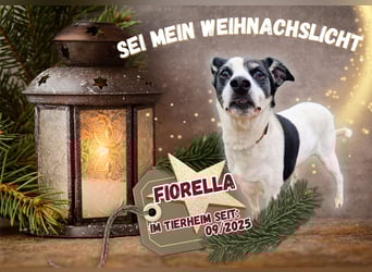 NOTFALL Seniorin FIORELLA