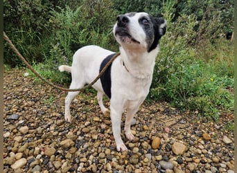 Seniorin FIORELLA - NOTFALL