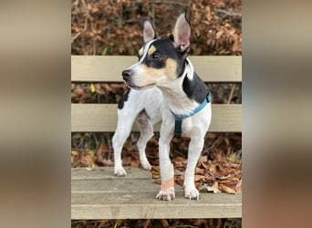 Jacky, gute Laune garantiert