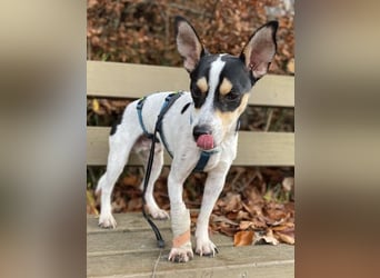 Jacky, gute Laune garantiert