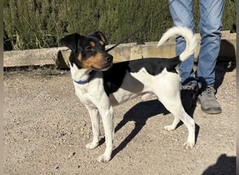 YAGO-fröhlicher Herzenshund sucht Nähe und liebevolles Zuhause