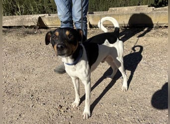 YAGO-fröhlicher Herzenshund sucht Nähe und liebevolles Zuhause