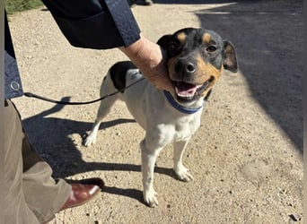 YAGO-fröhlicher Herzenshund sucht Nähe und liebevolles Zuhause