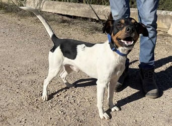 YAGO-fröhlicher Herzenshund sucht Nähe und liebevolles Zuhause