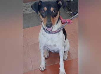 Lena
