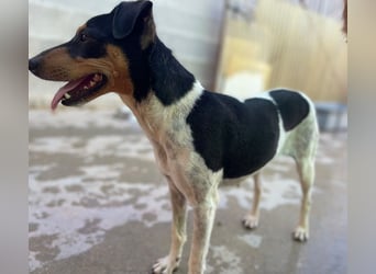 Lena
