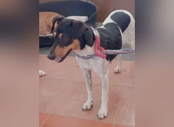 Lena