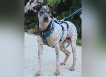 Grisa sucht einfühlsame Menschen Grisa sucht einfühlsame Menschen