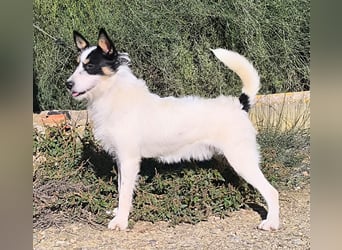 Gaton - freundlich und sozial