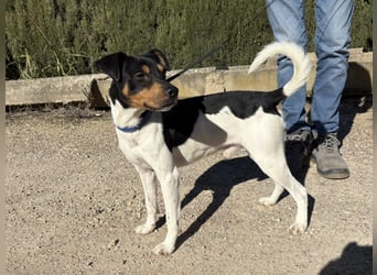 Yago - sozial und freundlich