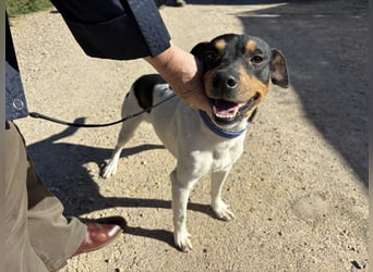 Yago - sozial und freundlich